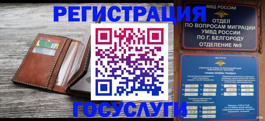 временная регистрация гарантия в Сольцах